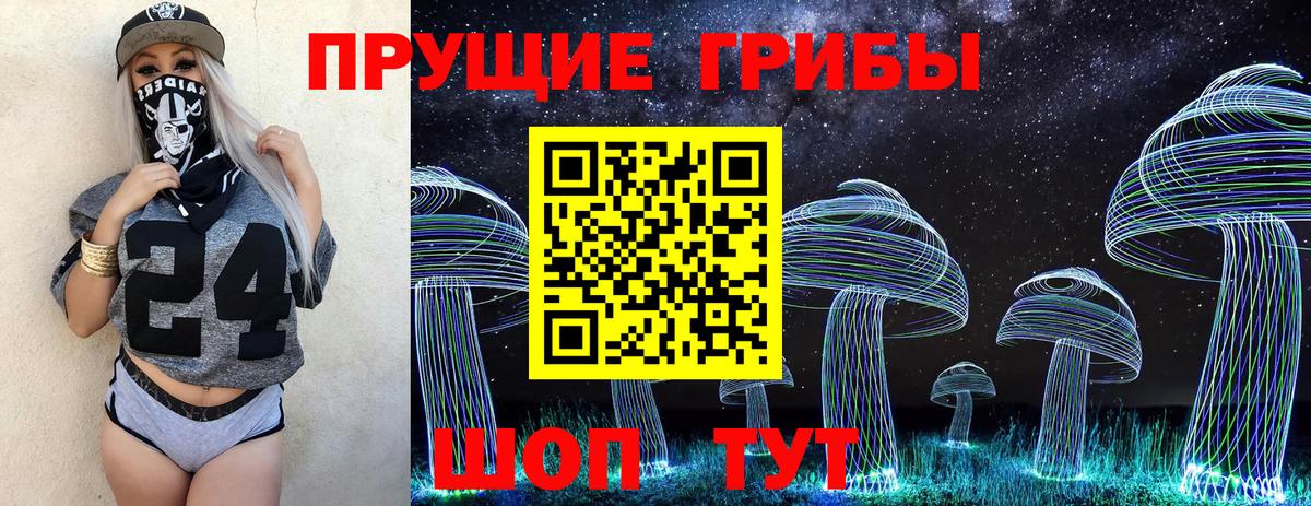 Галлюциногенные грибы Cubensis Зеленогорск