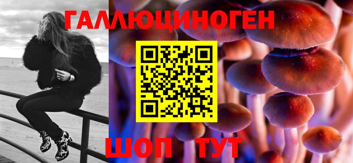 Галлюциногенные грибы прущие грибы  Вход с VPN  Зеленогорск 